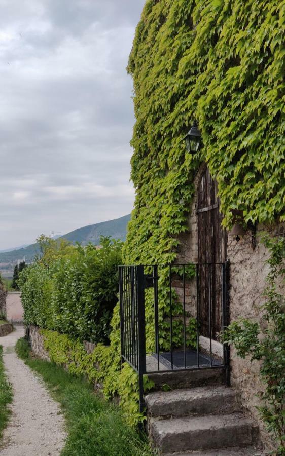Апартаменты Giardino Degli Ulivi Каприно-Веронезе Экстерьер фото